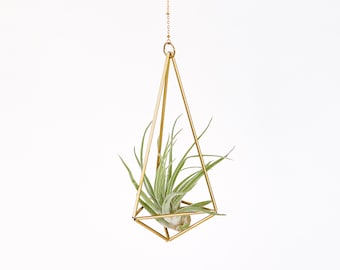 Hanging air plant holder, mini mobile Himmeli Hexahedron No. 01, plant hanger, air plant geometric planter, airplant gift, home decor gift