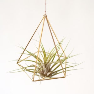 Air plant holder, airplant Himmeli, modern hanging planter, plant hanger, air plant geometric planter, home decor gift, Decahedron 01 image 2