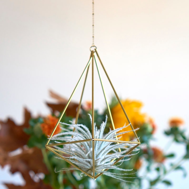 Air plant holder, airplant Himmeli, modern hanging planter, plant hanger, air plant geometric planter, home decor gift, Decahedron 01 image 10