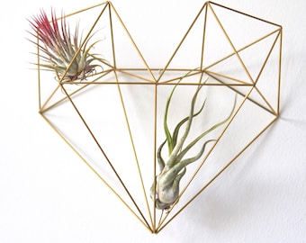 Air Plant Set Wall Plant Hanger, Air Plant Plant Mount, Heart Brass Wall Decoration, Air Plant Holder