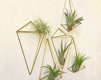 Air plant wall holder, plant lovers gift, wall sconce, air plant display, unique-gift-for-wife, air plant terrarium, Polyhedron No. 01