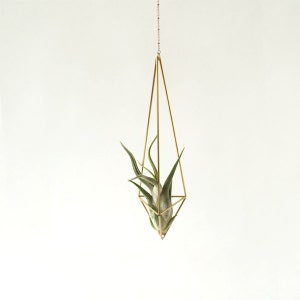 Hanging air plant geometric holder, mobile himmeli hexahedron No. 02, gold plant hanger, air plant geometric terrarium, home decor gift