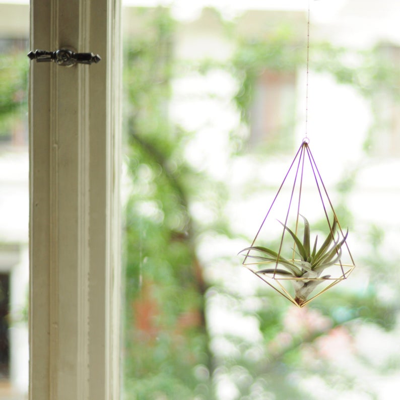 Air plant holder, airplant Himmeli, modern hanging planter, plant hanger, air plant geometric planter, home decor gift, Decahedron 01 image 9
