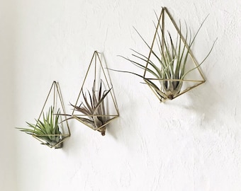 Air plant wall holder Set of 3 Himmeli Polyhedron No. 01 airplants, wall sconce, brass planter, wall deco, air plant container, unique gift