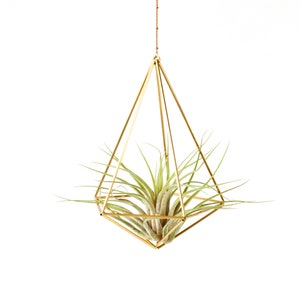 Air plant holder, airplant Himmeli, modern hanging planter, plant hanger, air plant geometric planter, home decor gift, Decahedron 01 image 1