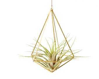 Air plant holder, airplant Himmeli, modern hanging planter, plant hanger, air plant geometric planter, home decor gift, Decahedron 01