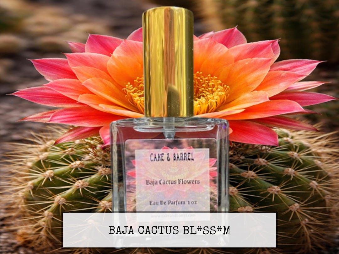 Baja Cactus Flowers Perfume, Mist, Soap, Wash, Shampoo, Conditioner,  Lotion, Scrub, Deodorant, Powder, Lotion, Butter, Beard, Wax Melts - Etsy