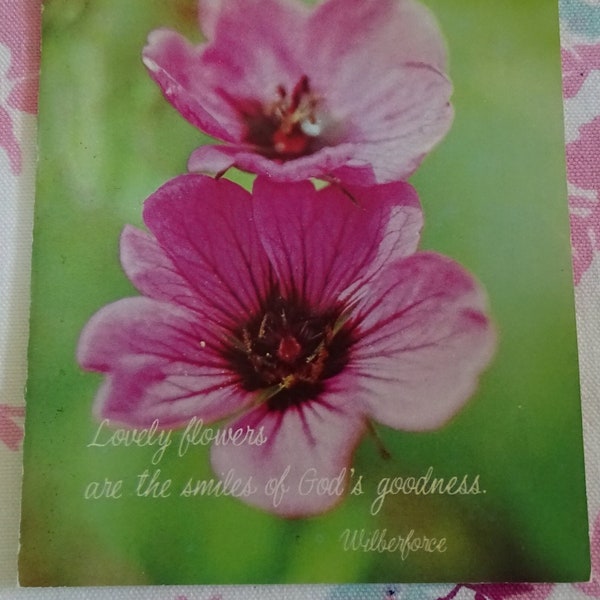 Unused Vintage Get Well Card, 1970's Greeting Card & Envelope, Pink Poppy Flowers, Wilberforce Quote