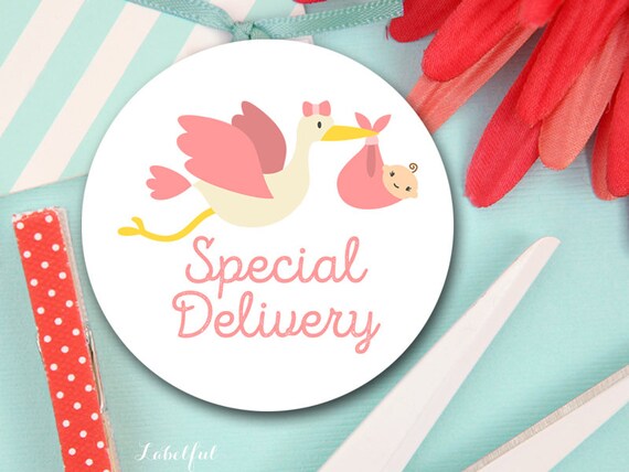 Girl Stork Baby Shower Favors Special Delivery Tags Thank Etsy