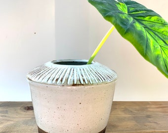 Tapered Palito Vase - Medium