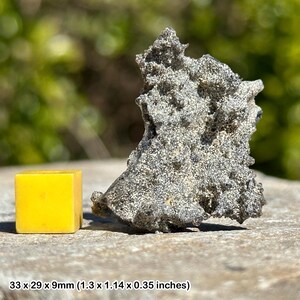 Crystal fulgurite (petrified lightning) | genuine moroccan mineral specimen | certificate included
