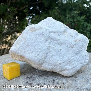 Lower chalk teaching rock (cretaceous) devon, authentic