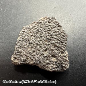 Titanosaur dinosaur eggshell fossil – cretaceous france – genuine sauropod egg shell with coa