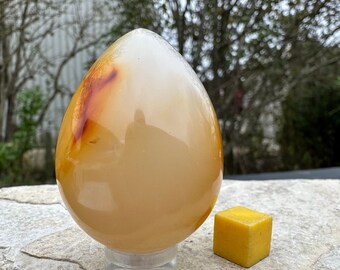 Carnelian egg - brimming with warm hues that evoke the fiery beauty of a desert sunset