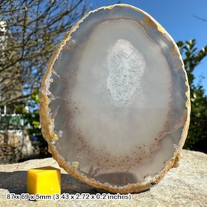 Agate slice (natural) for decoration and display