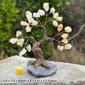 Citrino albero della vita - pietra di cristallo curativa autentica - espositore da collezione