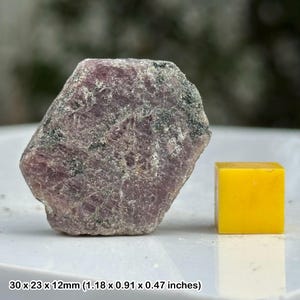 Natural ruby crystal - mineral specimen - madagascar - genuine gemstone - coa included