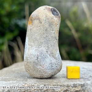 Rare flint hammer stone (neolithic), cornwall archeological find, uk - genuine artefact with certificate of authenticity