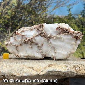 Natural snow gypsum crystal mineral specimen – genuine selenite variety – with certificate of authenticity