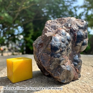 Hematite kidney ore crystal - usa mineral specimen - unique metallic form - certificate included