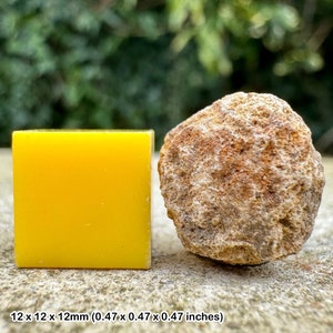 Unique cretaceous fossil sponge from beddington, uk - certified authentic with coa