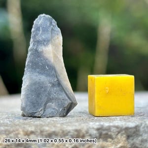 Puede incluir: Una piedra gris de forma irregular junto a un pequeño cubo amarillo brillante. La piedra mide aproximadamente 2,6 x 1,4 x 0,4 cm. El cubo es de color sólido. El fondo es verde borroso.