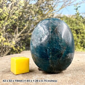 Apatite polished pebble - rp0797 - apatite polished pebble, for inspiration and creativity