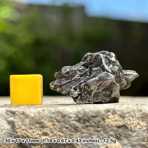 Campo del cielo nickel-iron meteorite crystals - certified genuine specimen