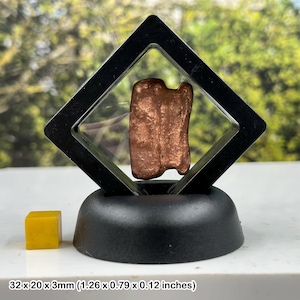 May include: A copper-colored, rectangular object, 1.26 x 0.79 x 0.12 inches, encased in a clear display case with a black frame and base. A small yellow cube sits to the left of the display. The background is blurred green.