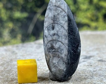 Lewisian Gneiss: La Roca Más Antigua Del Reino Unido, Cristal Genuino