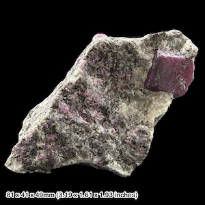 May include: A raw mineral specimen featuring a large, deep magenta-coloured crystal embedded in a textured, grey and white matrix rock. The specimen measures 81 mm by 41 mm by 49 mm, showcasing natural crystalline formations and varied mineral textures.