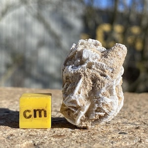 Desert rose gypsum crystal – mexico | genuine specimen + coa | unique!
