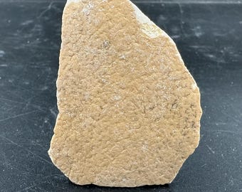 絶滅したゾウ鳥のレプリカ卵 - Etsy 日本