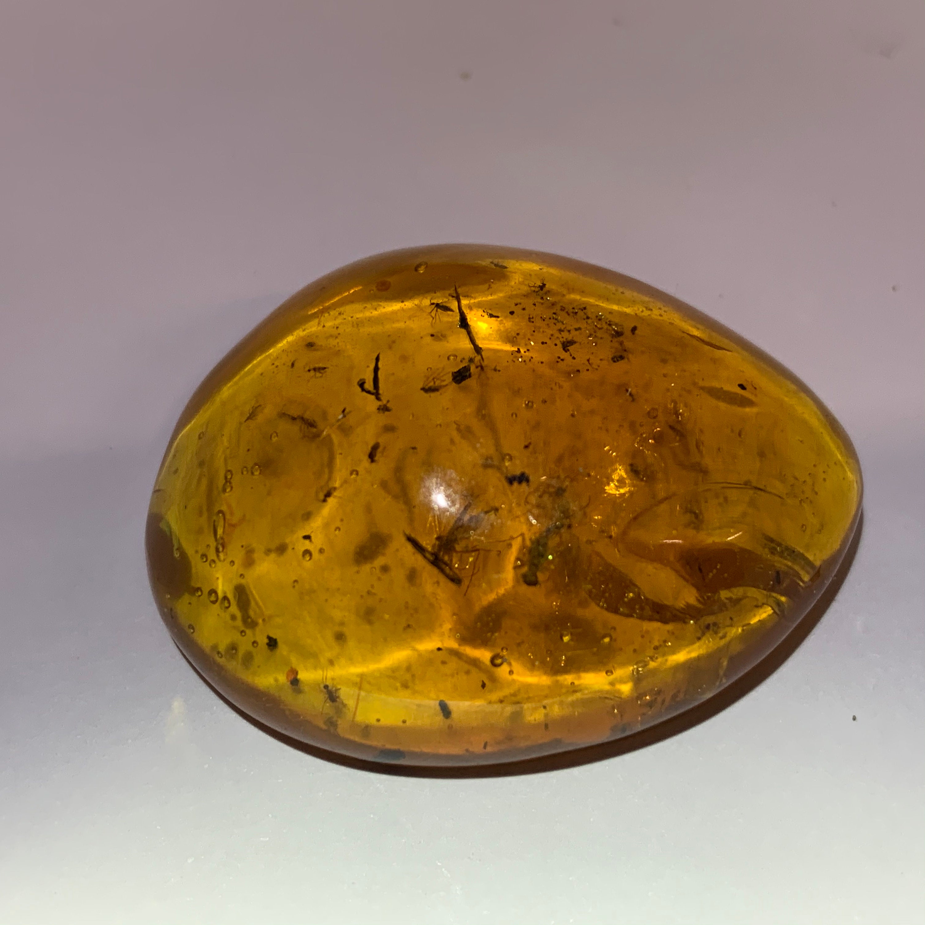 Image of 15-20 Fly Inclusions in Dominican Amber - Miocene Period Republic 100% Genuine Fossil Fsr325