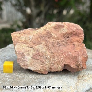 Authentic old red sandstone - perfect sedimentary teaching rock for the classroom