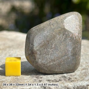 Polished sauropod dinosaur bone fossil chunk – genuine cretaceous specimen – morocco – authentic fossil with certificate