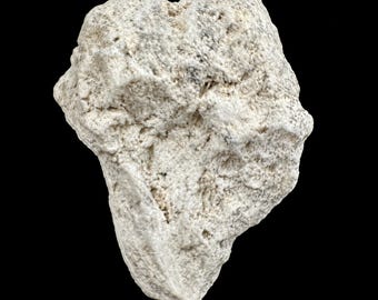 Pumice stone italy natural igneous volcanic rock specimen
