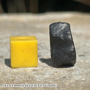Fossilised wood whitby jet - araucaria conifer prehistoric tree resin, whitby uk