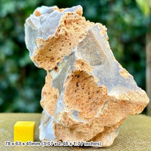 Fossil sponge in flint, grey chalk subgroup, cretaceous, branscome, devon, uk - genuine