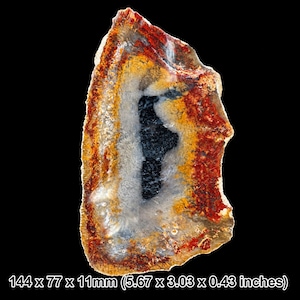 May include: A polished agate slice featuring concentric bands of deep red, vibrant orange, and translucent white surrounding a dark, textured centre. The specimen measures 144 x 77 x 11 mm, displaying natural mineral formations and crystalline patterns.