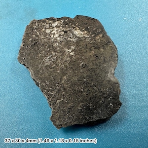 Fossil british dinosaur iguanodon bone, isle of wight, uk. cretaceous age