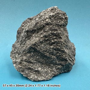 Gneiss à hornblende, roche métamorphique, échantillon géologique, Norvège, authentique