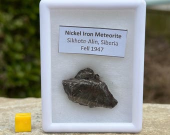 隕石 シホテ・アリン衝突 鉄ニッケル ロシア産 19 mm 3.1 gm. jr83