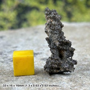 Crystal fulgurite (petrified lightning) | genuine moroccan mineral specimen | certificate included