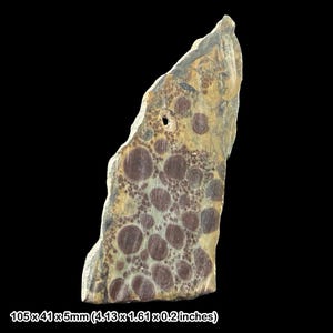 Polished ruby in fuchsite slice crystal specimen gemstone display decor gift