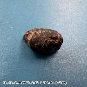 Meteorito condrito comum L4/5 genuíno certificado - autêntica rocha espacial