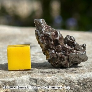 Campo del cielo meteorite nichel-ferro - autentica roccia spaziale da cristalli di asteroidi