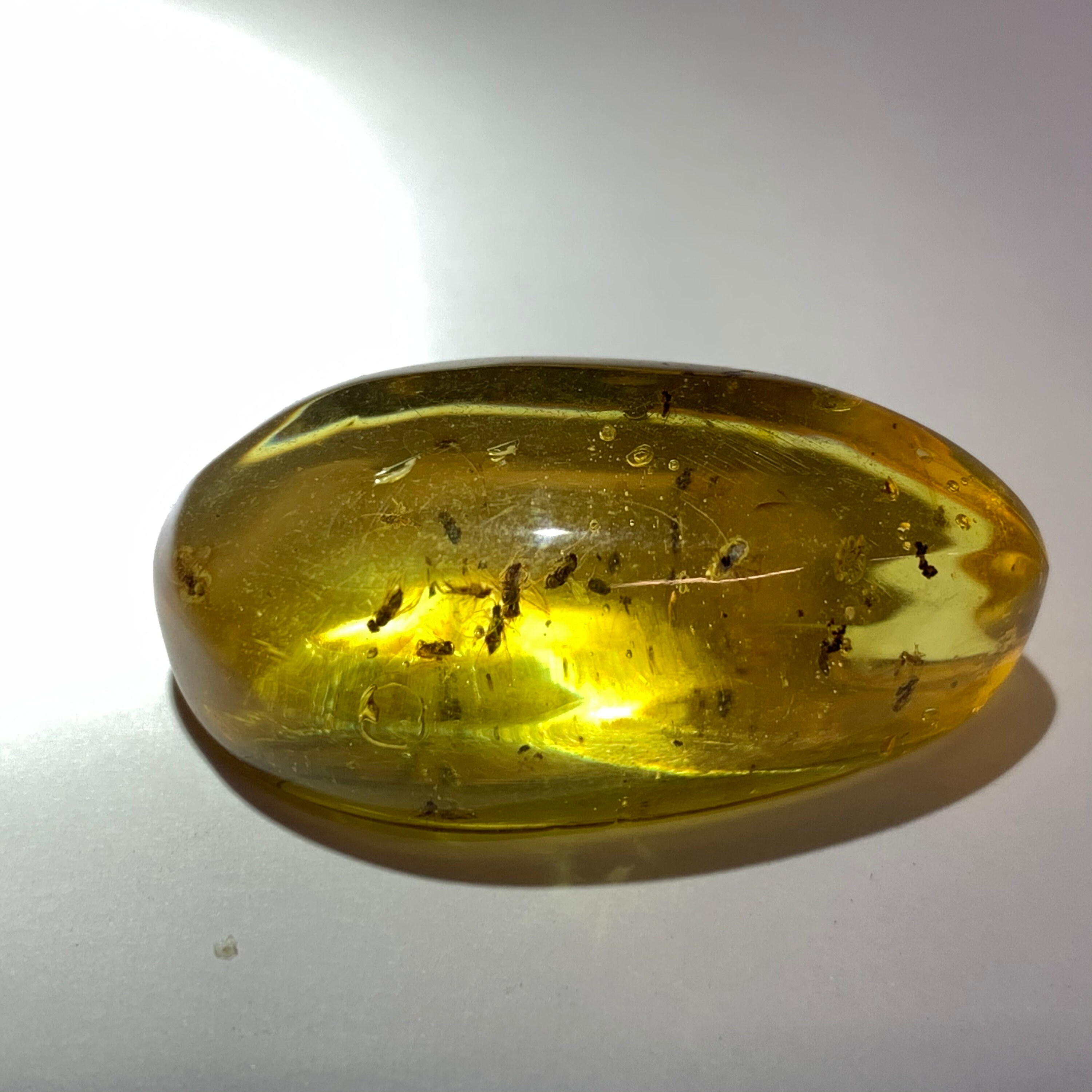 Image of 11 Fly Inclusions in Dominican Amber - Miocene Period Republic 100% Genuine Fossil Fsr326