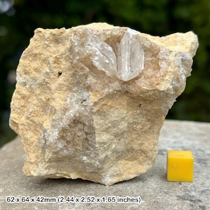 Dogtooth calcite crystal from morocco - unique and striking appearance