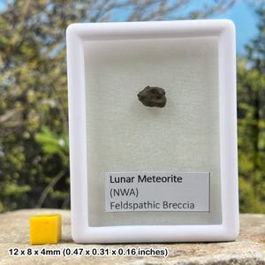 Genuine lunar nwa 8687 meteorite - space moon rock - education, teaching & science study (2014) certified
